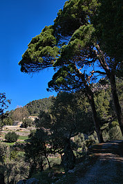 DSC05717 -1_t.jpg